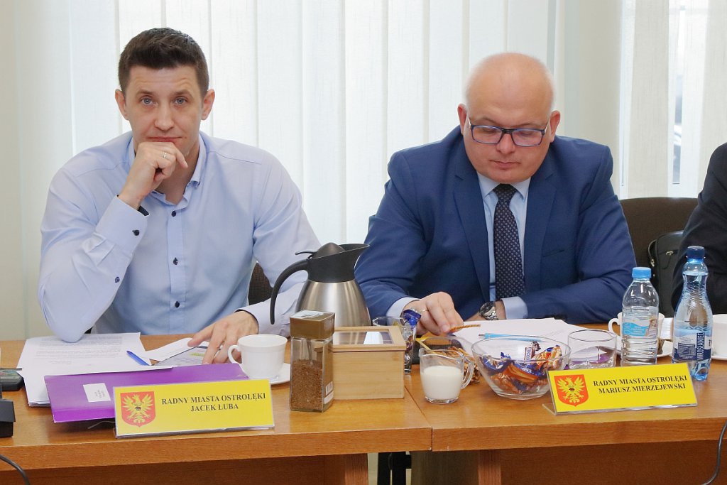 VIII sesja Rady Miasta Ostrołęka [28.03.2019] - zdjęcie #11 - eOstroleka.pl