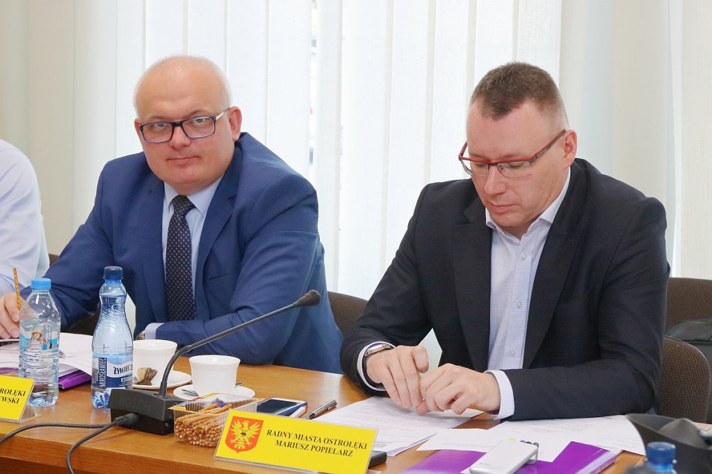 VIII sesja Rady Miasta Ostrołęka [28.03.2019] - zdjęcie #15 - eOstroleka.pl