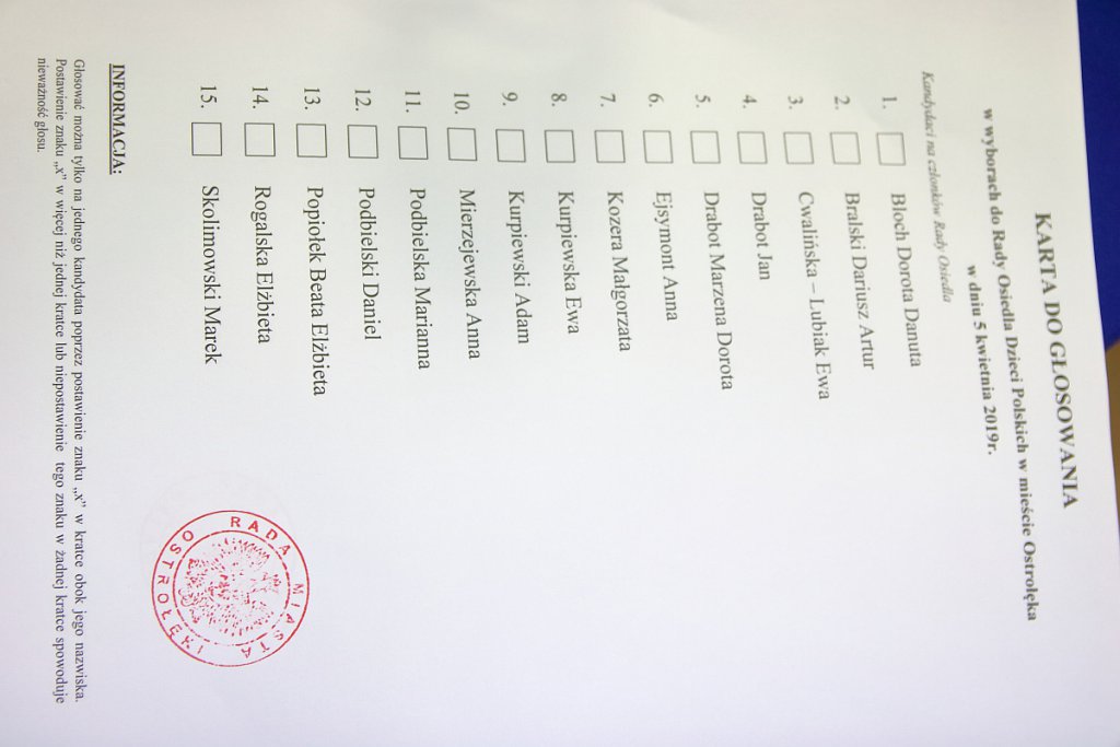Wybory do Rady Osiedla Dzieci Polskich [05.04.2019] - zdjęcie #30 - eOstroleka.pl