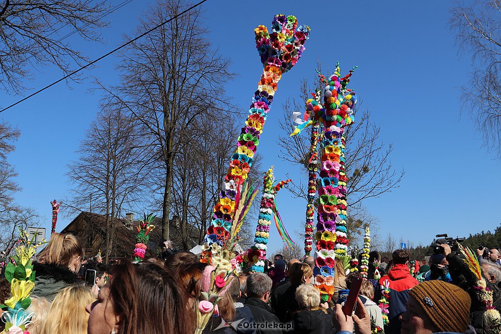 Niedziela Palmowa w Łysych [14.4.2019] - zdjęcie #103 - eOstroleka.pl
