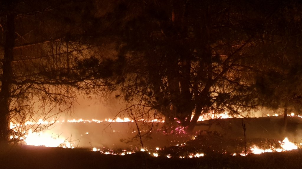 Pożar przy Sienkiewicza i Chemicznej [16.04.2019] - zdjęcie #5 - eOstroleka.pl