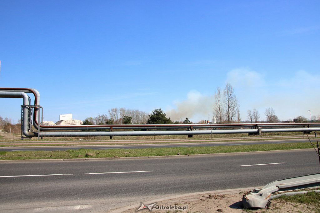 Kłęby dymu nad osiedlem Wojciechowice [ZDJĘCIA] - zdjęcie #5 - eOstroleka.pl