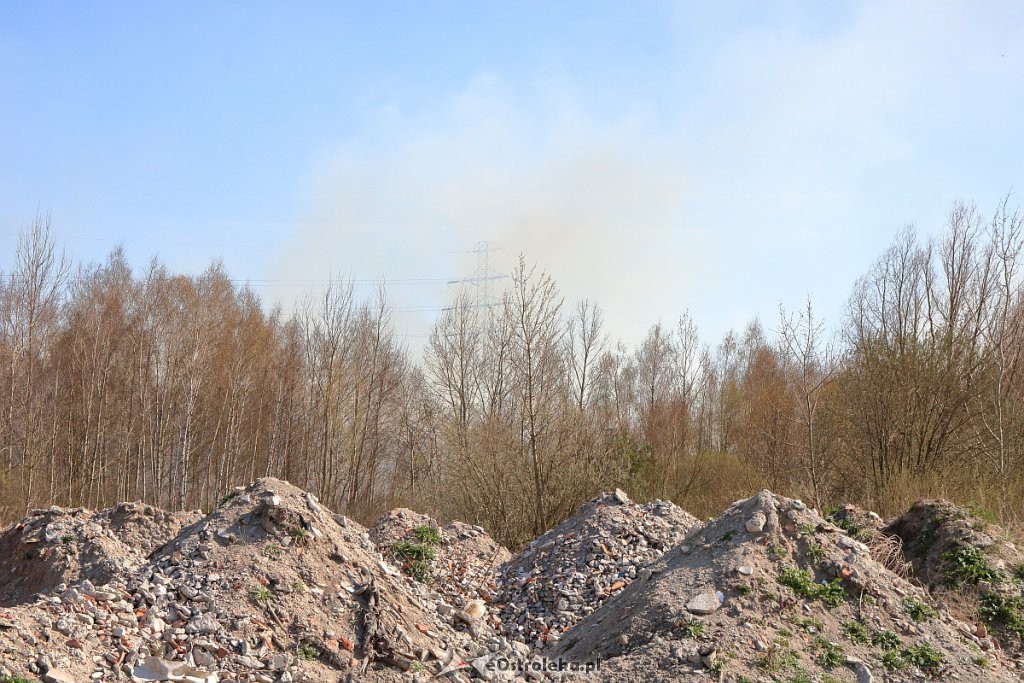 Kłęby dymu nad osiedlem Wojciechowice [ZDJĘCIA] - zdjęcie #11 - eOstroleka.pl