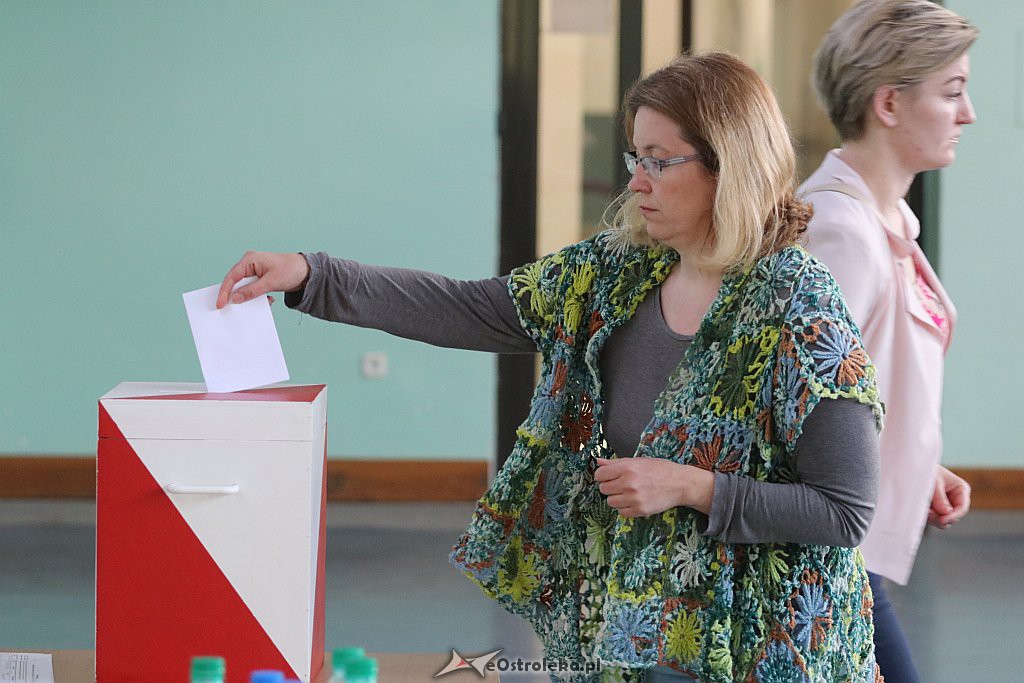 Wybory do rady osiedla Wojciechowice [25.4.2019] - zdjęcie #11 - eOstroleka.pl