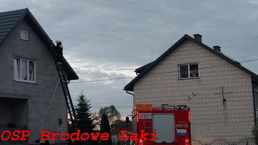 Strażacy ochotnicy spieszyli na pomoc… gołębiowi [ZDJĘCIA] - zdjęcie #3 - eOstroleka.pl