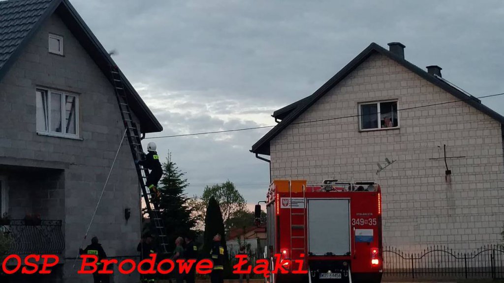 Strażacy ochotnicy spieszyli na pomoc… gołębiowi [ZDJĘCIA] - zdjęcie #5 - eOstroleka.pl