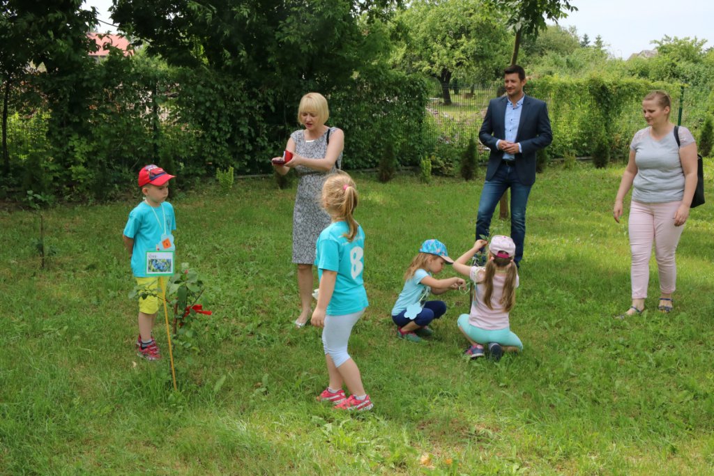 Konkurs Mali Ogrodnicy w Leśnej Krainie [14.06.2019] - zdjęcie #35 - eOstroleka.pl