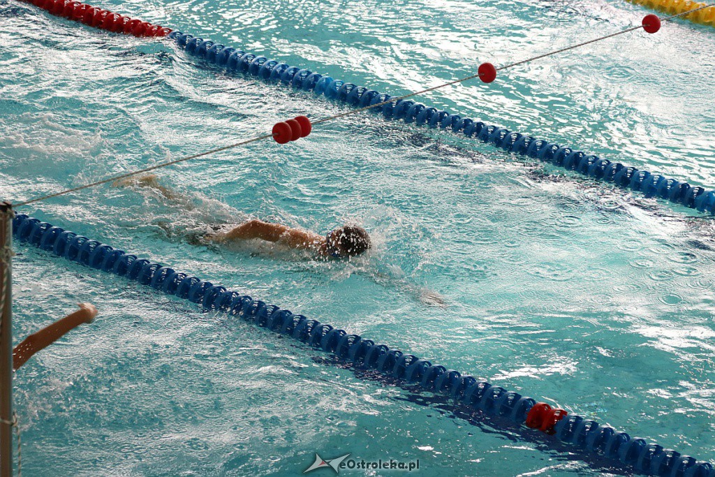 Otwarte Mistrzostwa Ostrołęki w Pływaniu [26.10.2019] - zdjęcie #27 - eOstroleka.pl