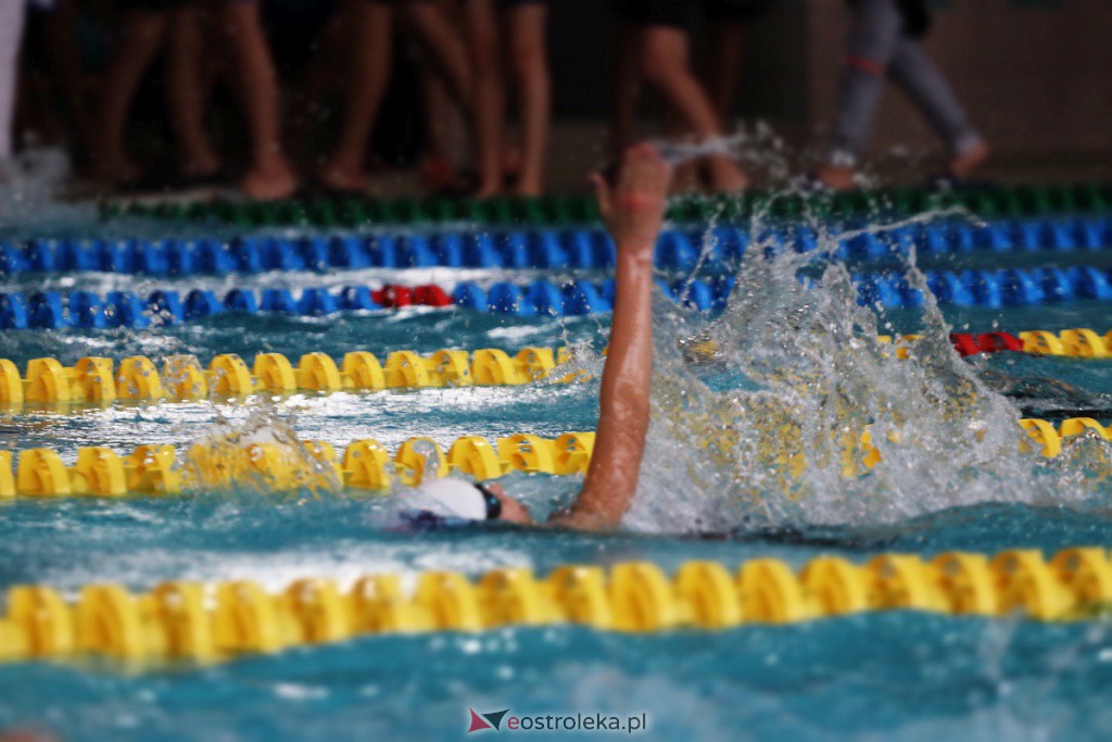 Mistrzostwa Ostrołęki w pływaniu [29.10.2022] - zdjęcie #28 - eOstroleka.pl