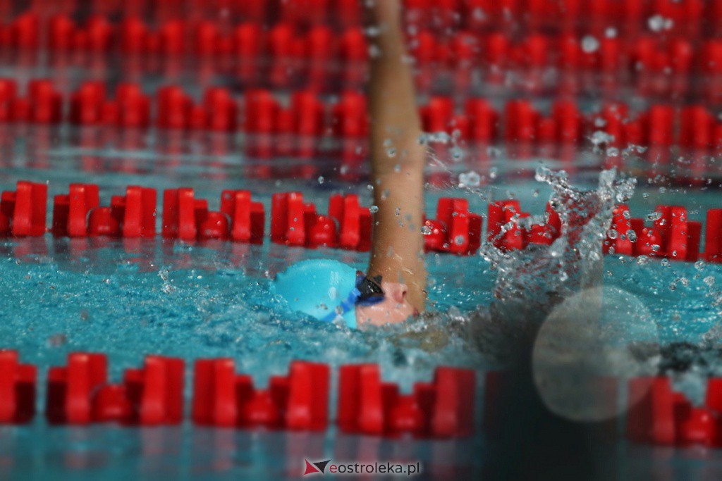 Mistrzostwa Ostrołęki w pływaniu [29.10.2022] - zdjęcie #29 - eOstroleka.pl