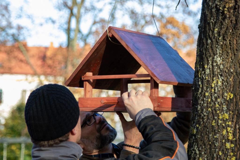 Młodzież ZSZ 3 włączyła się w akcję zimowego dokarmiania ptaków - zdjęcie #35 - eOstroleka.pl