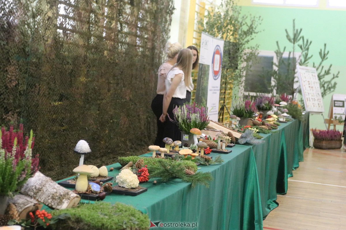 Wystawa grzybów w Szkole Podstawowej nr 2 [26.09.2023] - zdjęcie #24 - eOstroleka.pl