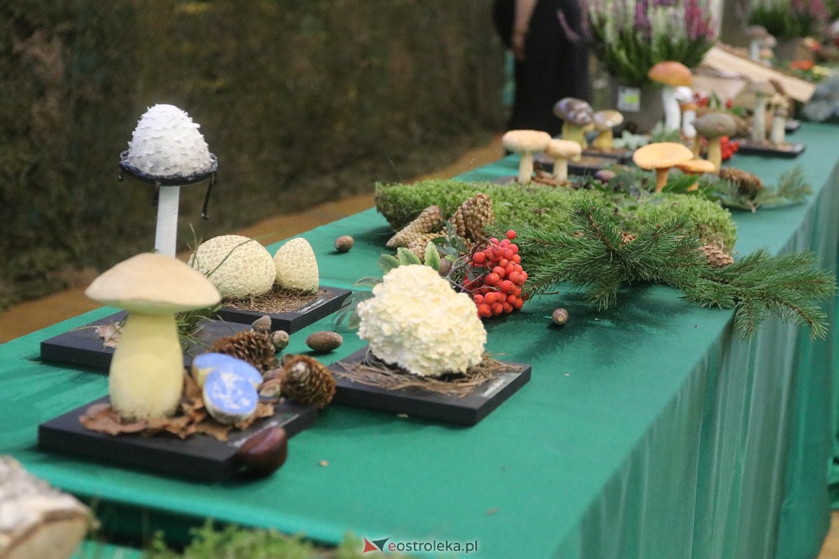 Wystawa grzybów w Szkole Podstawowej nr 2 [26.09.2023] - zdjęcie #25 - eOstroleka.pl