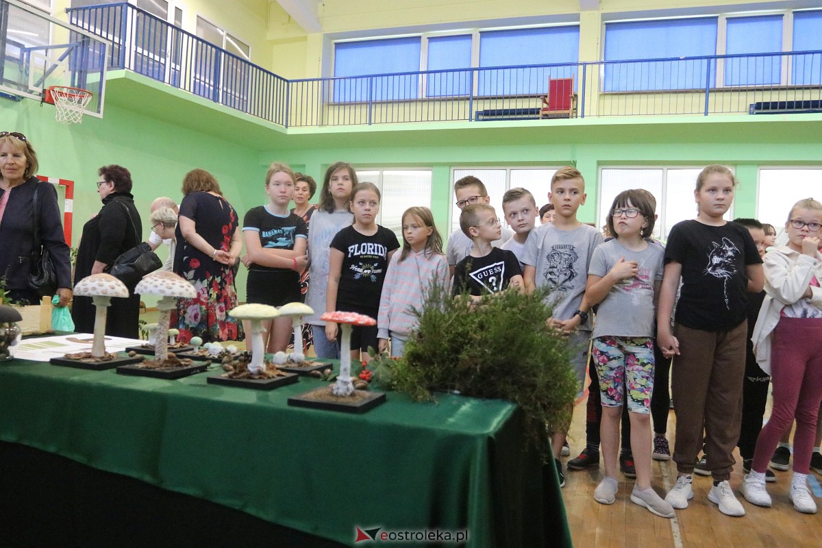Wystawa grzybów w Szkole Podstawowej nr 2 [26.09.2023] - zdjęcie #30 - eOstroleka.pl