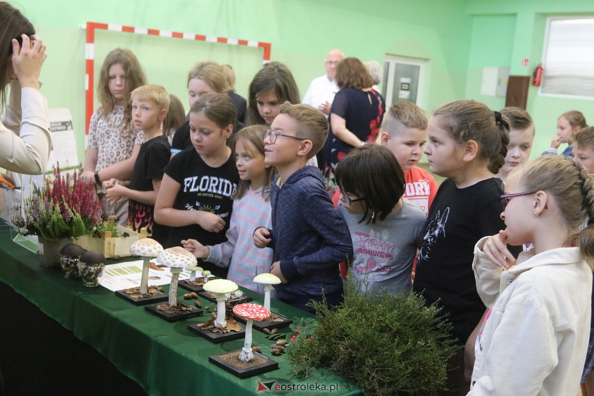 Wystawa grzybów w Szkole Podstawowej nr 2 [26.09.2023] - zdjęcie #36 - eOstroleka.pl