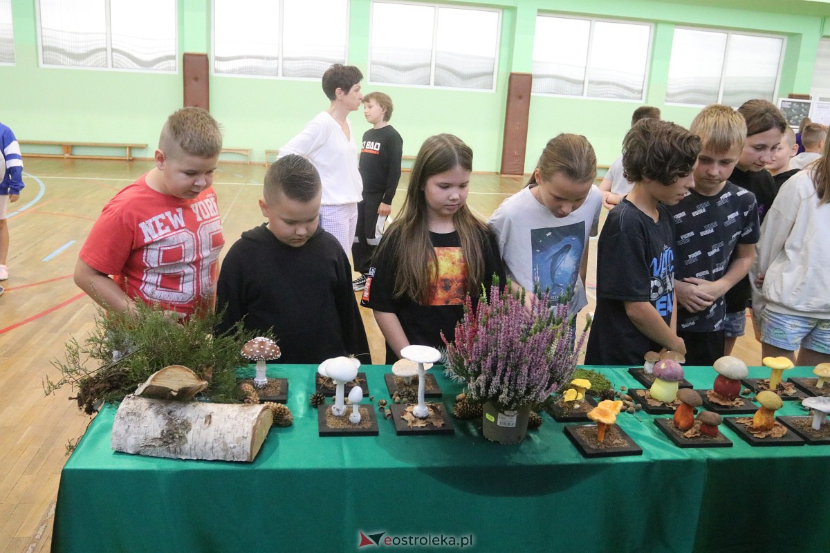 Wystawa grzybów w Szkole Podstawowej nr 2 [26.09.2023] - zdjęcie #37 - eOstroleka.pl