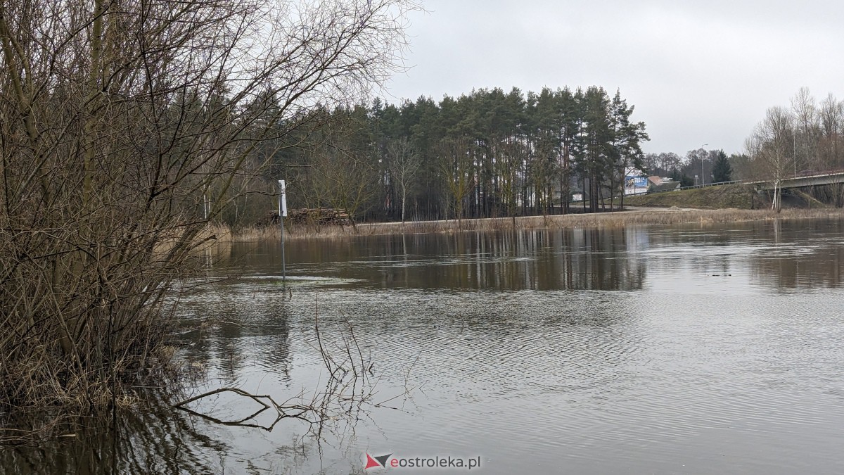 Poziom wody w Narwi - stan z 11 lutego 2024 [11.02.2024] - zdjęcie #6 - eOstroleka.pl