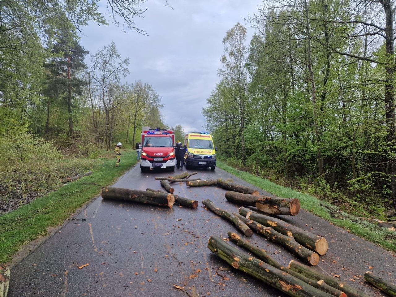 Ciężarówka z drewnem wywróciła się na lokalnej drodze! Ranny kierowca w szpitalu [18.04.2024] - zdjęcie #5 - eOstroleka.pl