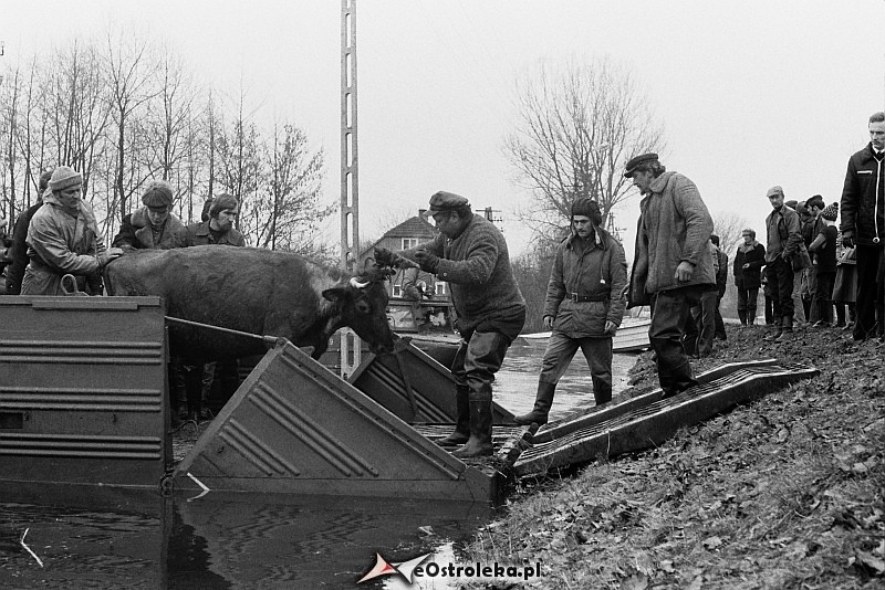 E. Gierek i W. Jaruzelski w Ostrołęce - powódź 1979r - zdjęcie #112 - eOstroleka.pl