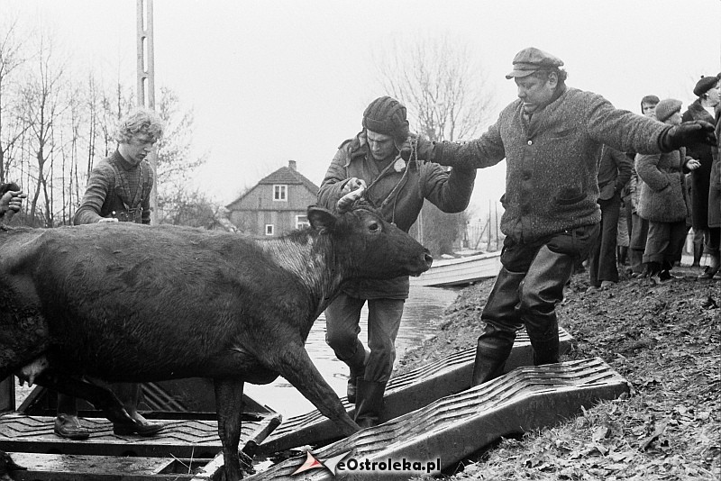 E. Gierek i W. Jaruzelski w Ostrołęce - powódź 1979r - zdjęcie #116 - eOstroleka.pl