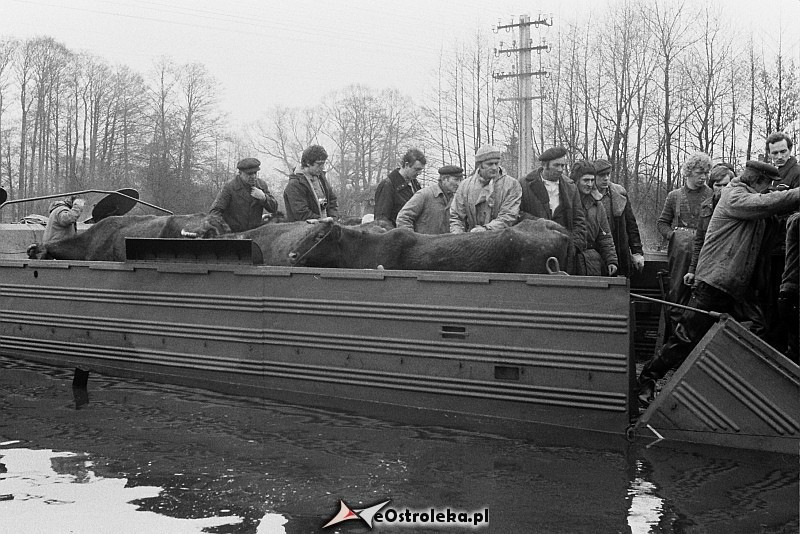 E. Gierek i W. Jaruzelski w Ostrołęce - powódź 1979r - zdjęcie #119 - eOstroleka.pl