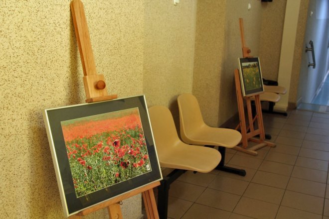 Niezwykła wystawa fotgraficzna w ostrołęckim ratuszu [12 VII 2012] - zdjęcie #3 - eOstroleka.pl