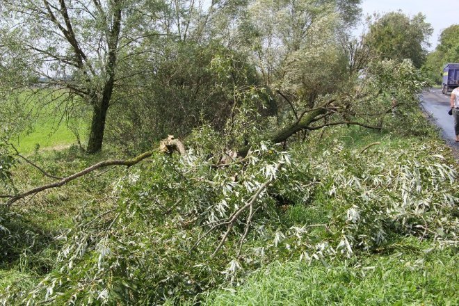 Potężna burza nad powiatem ostrołęckim: Wiatr zrywał dachy i powalał drzewa [22 VIII 2012]  - zdjęcie #18 - eOstroleka.pl