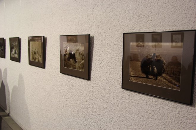  Moje Podlasie fotografie Wiktora Wolkowa [4 X 2012] - zdjęcie #14 - eOstroleka.pl