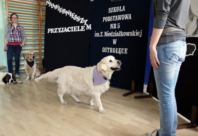 Spotkanie z psami w SP nr 5 [30.05.2013] - zdjęcie #21 - eOstroleka.pl