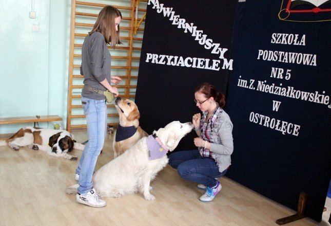 Spotkanie z psami w SP nr 5 [30.05.2013] - zdjęcie #29 - eOstroleka.pl