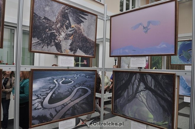 Wystawa pn. „Fotografia dzikiej przyrody” [28.10.2013] - zdjęcie #6 - eOstroleka.pl
