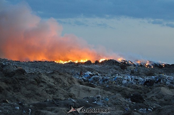 Płonie wysypisko śmieci przy ulicy Turskiego w Ostrołęce [31.03.2014] - zdjęcie #15 - eOstroleka.pl