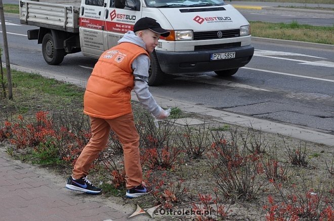 Kolejna Akcja Sprzątania Świata w Ostrołęce [11.04.2014] - zdjęcie #9 - eOstroleka.pl