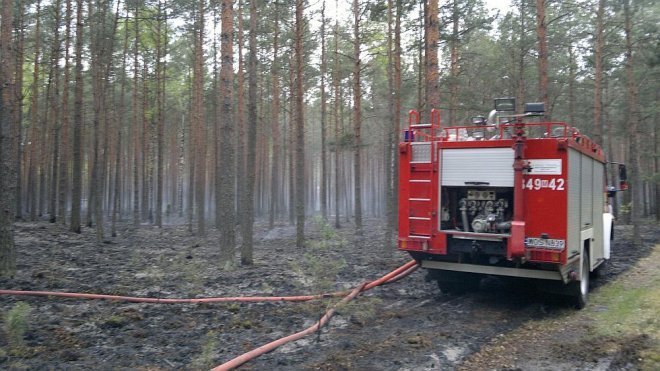 Siarcza Łąka: Spłonęło blisko 1,5 ha poszycia leśnego [07.05.2014] - zdjęcie #1 - eOstroleka.pl