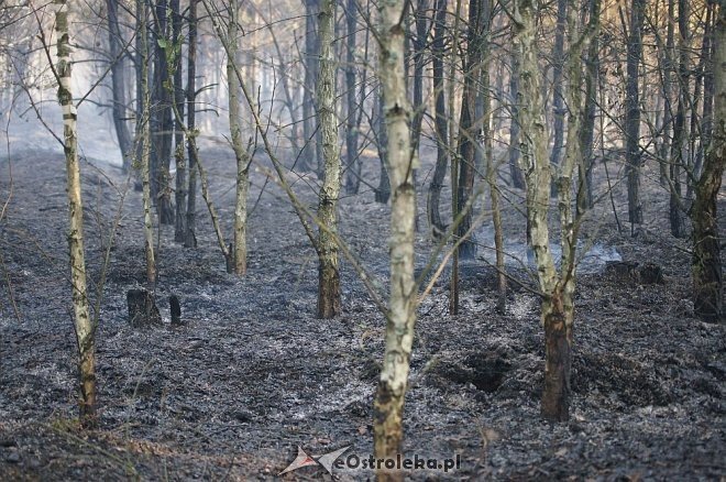 Gigantyczny pożar lasu w gminie Kadzidło [24.05.2014] - zdjęcie #6 - eOstroleka.pl