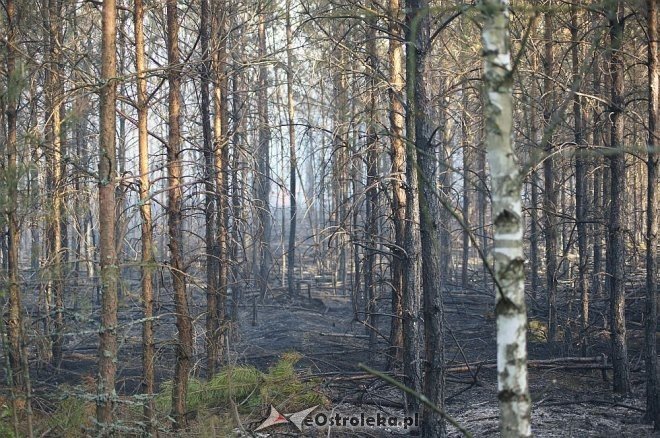 Gigantyczny pożar lasu w gminie Kadzidło [24.05.2014] - zdjęcie #7 - eOstroleka.pl