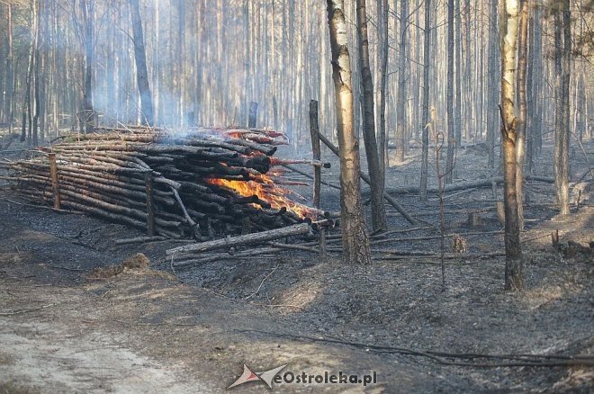 Gigantyczny pożar lasu w gminie Kadzidło [24.05.2014] - zdjęcie #9 - eOstroleka.pl