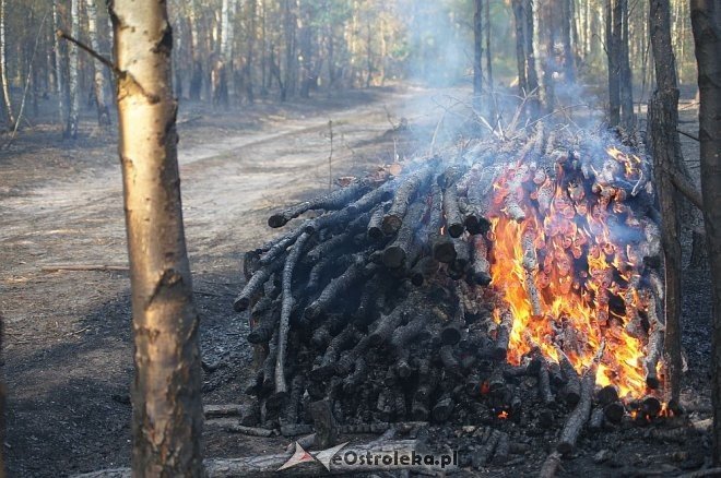 Gigantyczny pożar lasu w gminie Kadzidło [24.05.2014] - zdjęcie #10 - eOstroleka.pl