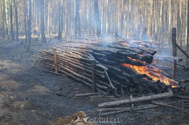 Gigantyczny pożar lasu w gminie Kadzidło [24.05.2014] - zdjęcie #11 - eOstroleka.pl