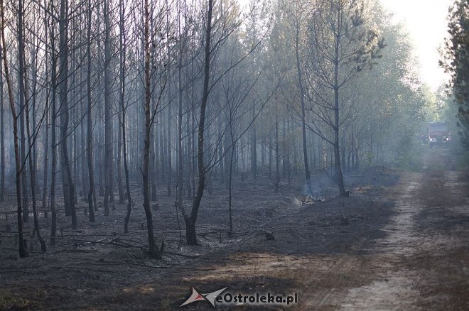 Gigantyczny pożar lasu w gminie Kadzidło [24.05.2014] - zdjęcie #12 - eOstroleka.pl