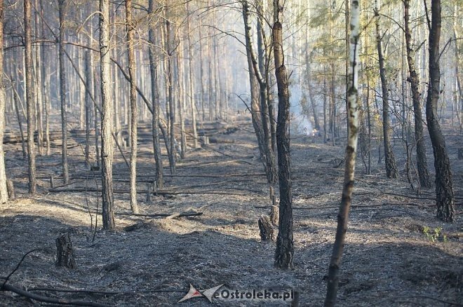 Gigantyczny pożar lasu w gminie Kadzidło [24.05.2014] - zdjęcie #14 - eOstroleka.pl