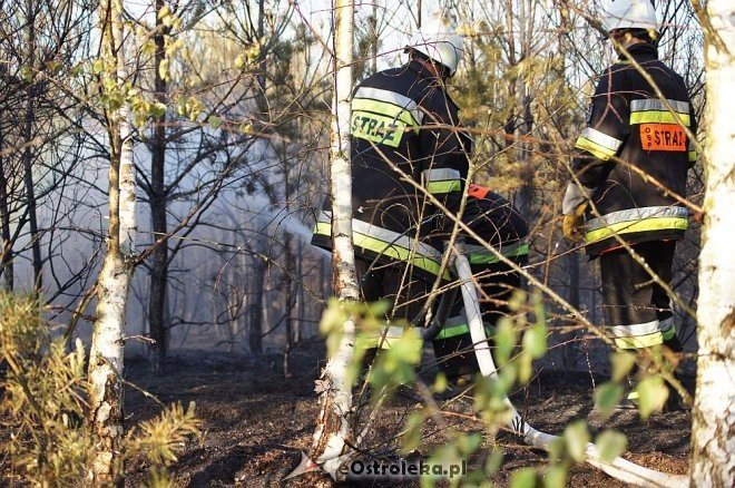 Gigantyczny pożar lasu w gminie Kadzidło [24.05.2014] - zdjęcie #22 - eOstroleka.pl