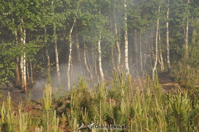 Gigantyczny pożar lasu w gminie Kadzidło [24.05.2014] - zdjęcie #30 - eOstroleka.pl