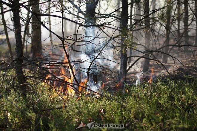 Gigantyczny pożar lasu w gminie Kadzidło [24.05.2014] - zdjęcie #43 - eOstroleka.pl