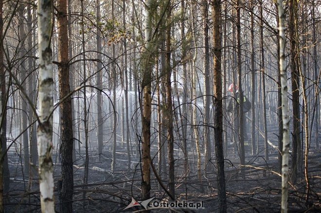 Gigantyczny pożar lasu w gminie Kadzidło [24.05.2014] - zdjęcie #47 - eOstroleka.pl