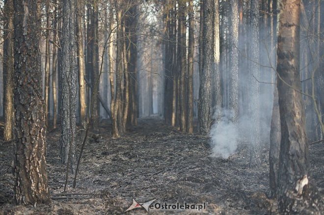 Gigantyczny pożar lasu w gminie Kadzidło [24.05.2014] - zdjęcie #51 - eOstroleka.pl