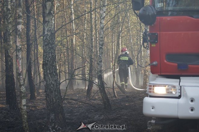 Gigantyczny pożar lasu w gminie Kadzidło [24.05.2014] - zdjęcie #52 - eOstroleka.pl