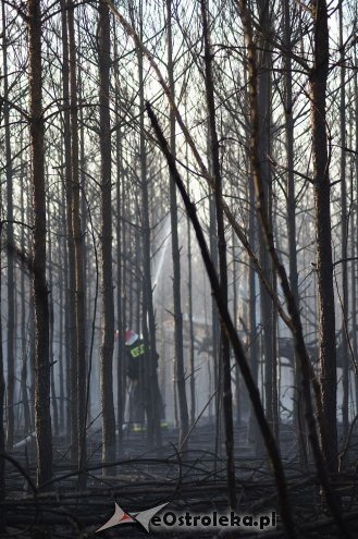 Gigantyczny pożar lasu w gminie Kadzidło [24.05.2014] - zdjęcie #55 - eOstroleka.pl