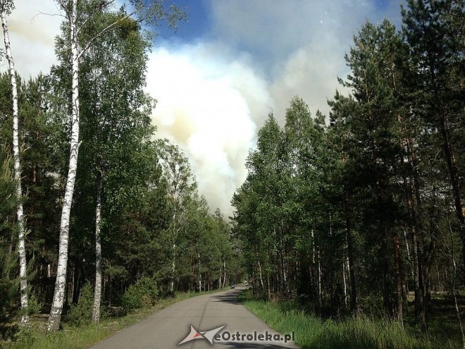 Gigantyczny pożar lasu w gminie Kadzidło [24.05.2014] - zdjęcie #68 - eOstroleka.pl