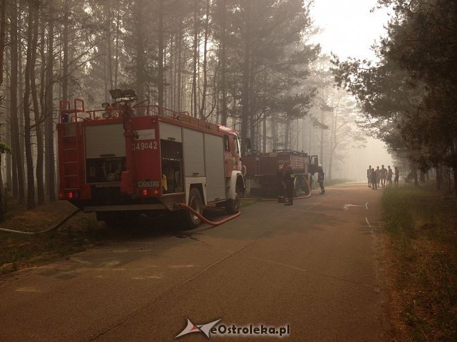 Gigantyczny pożar lasu w gminie Kadzidło [24.05.2014] - zdjęcie #73 - eOstroleka.pl